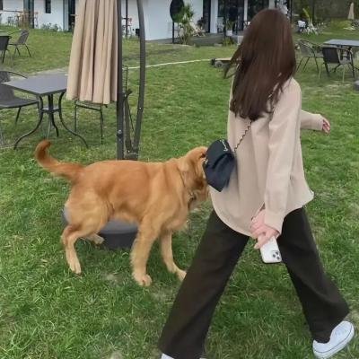 致命拜访